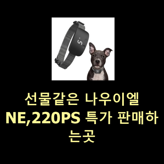선물같은 나우이엘NE,220PS 특가 판매하는곳 선물같은 나우이엘NE,220PS 특가 판매하는곳