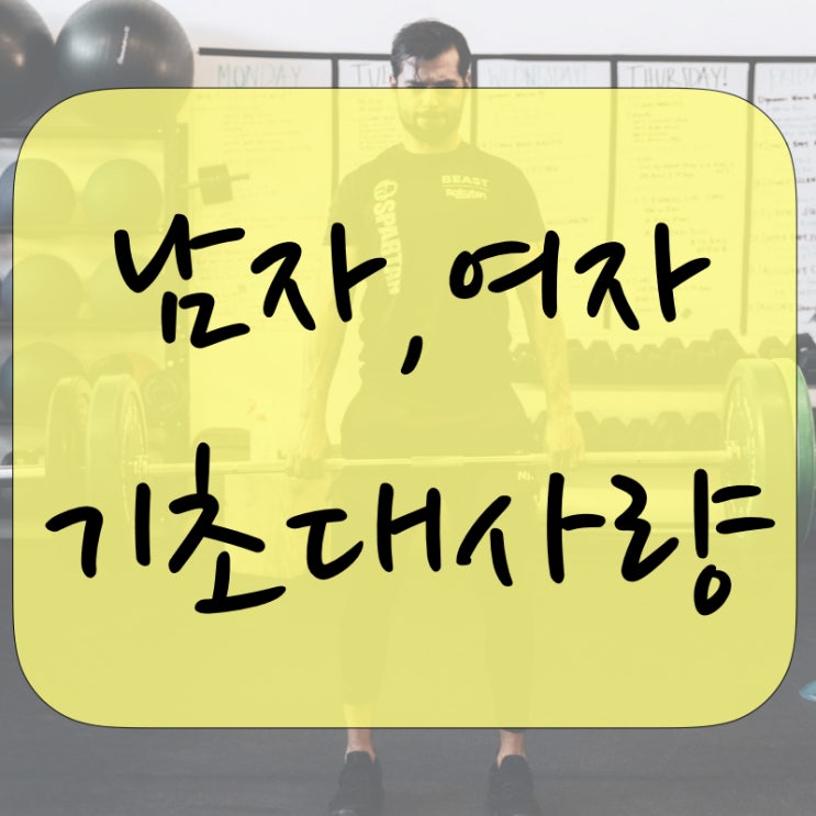  여자 평균 기초 대사량, 남자 평균 기초 대사량 확인해보세요.