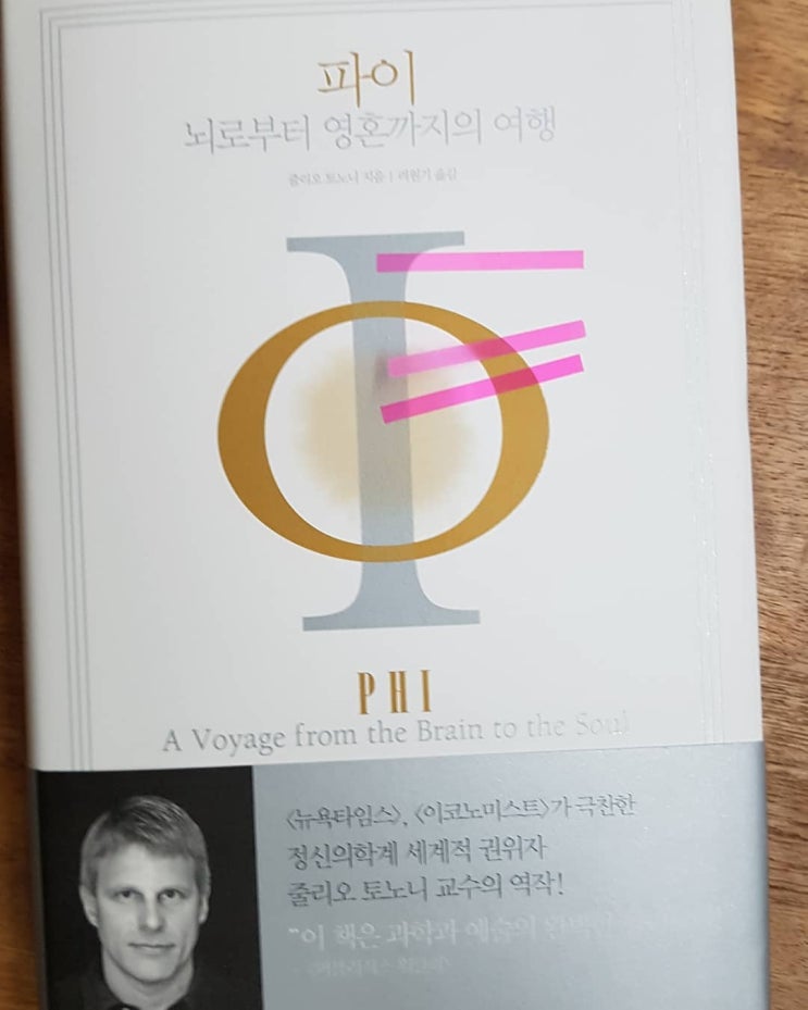  파이 : 뇌로부터 영혼까지의 여행 (줄리오 토노니 지음) 리뷰 / 동래정신과 나우향