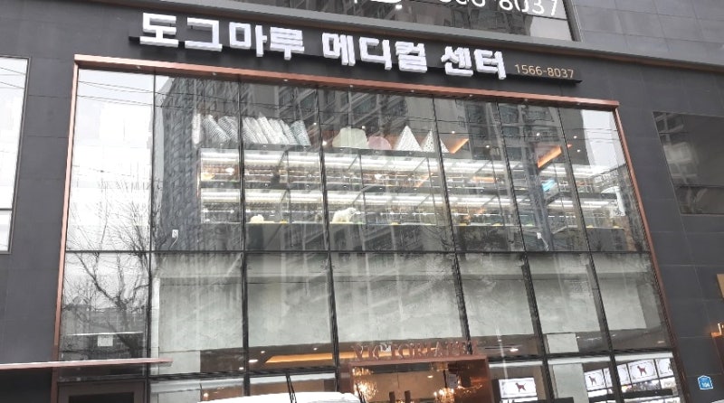 유기견입양 고려 중 유기견보호소 도그마루 방문 : 네이버 블로그 유기견입양 고려 중 유기견보호소 도그마루 방문 : 네이버 블로그