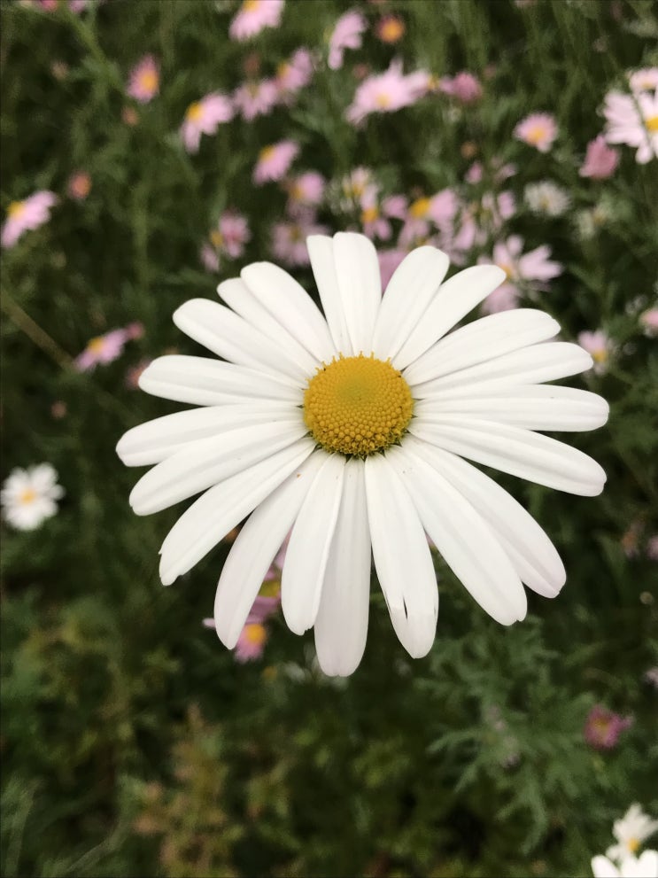 산업보건지도사 도전기_ 기업진단지도