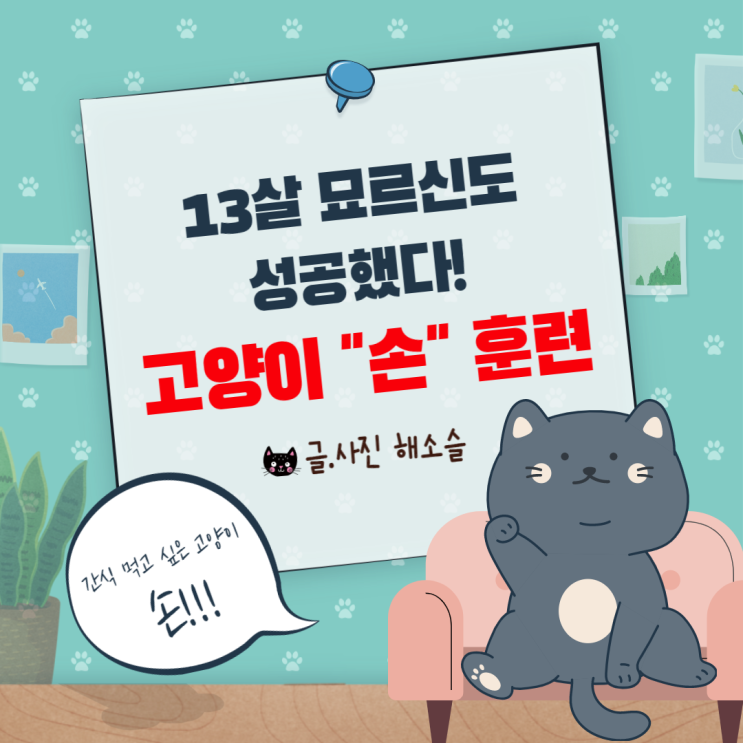  고양이 손 훈련(feat.굿밸런스 짜먹는 간식)
