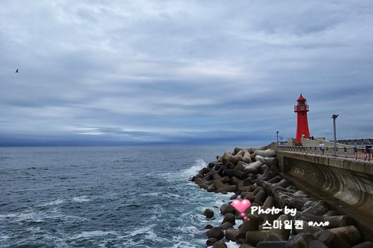  강원도 여행 - 속초 대포항 빨간등대~