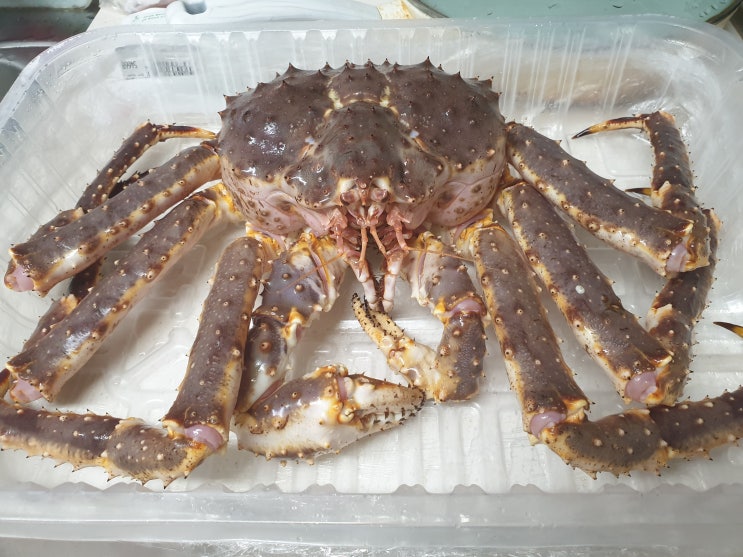 [롯데마트]  레드 킹크랩 또 생각나는 맛
