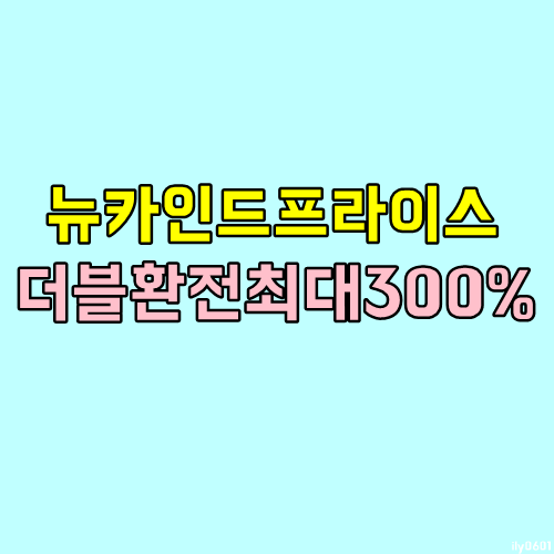 직장인투잡 뉴카인드프라이스 뉴카 더블 환전소