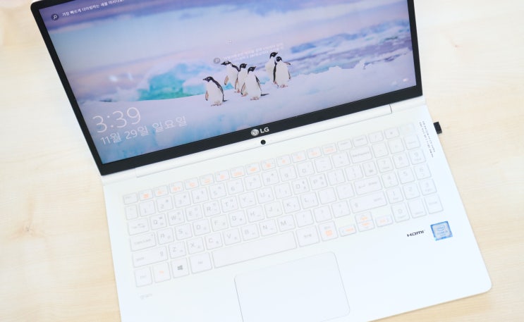 LG 엘지 그램 노트북 202116인치 가격, 사전예약 사은품 배송 정보