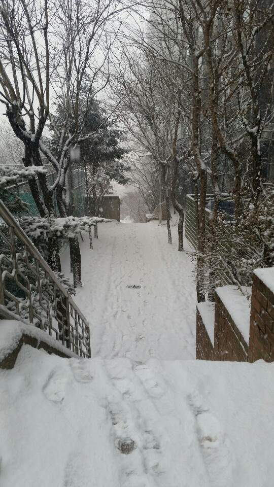  또 눈이 와요 ...나한태 왜이래 ㅜㅜ