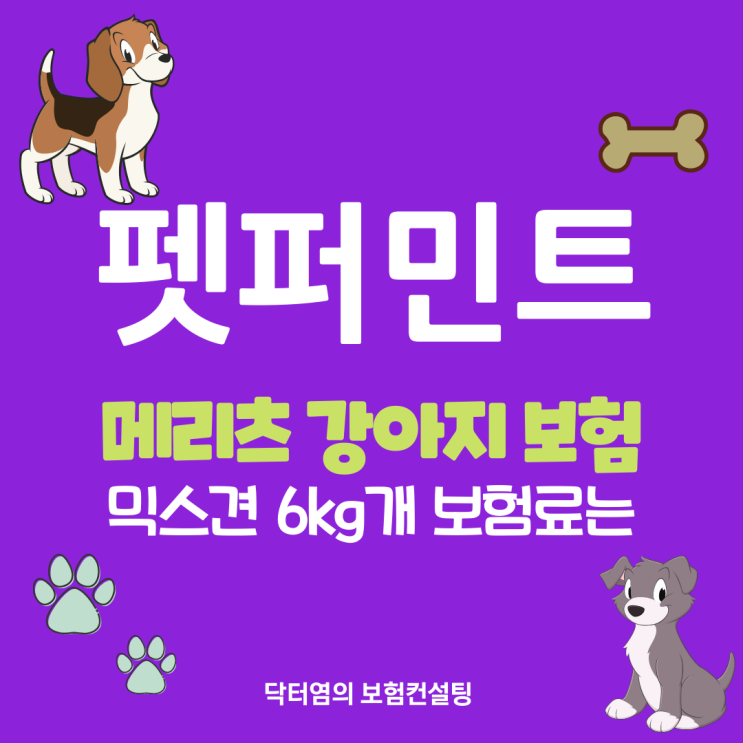  펫퍼민트 메리츠 강아지 보험 믹스견 6kg 개 보험료는