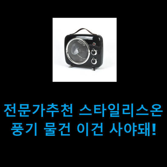 전문가추천 스타일리스온풍기 물건 이건 사야돼! 전문가추천 스타일리스온풍기 물건 이건 사야돼!