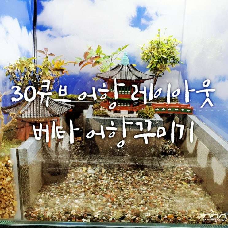 베타 어항 꾸미기 - ADA 30큐브 레이아웃 베타 어항 꾸미기 - ADA 30큐브 레이아웃