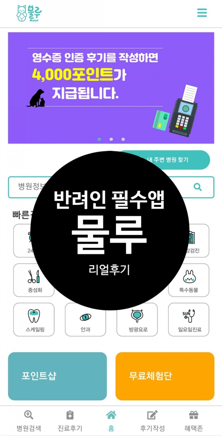  강아지 병원비 걱정 안 할 수 없죠? 반려인 필수 앱 물루