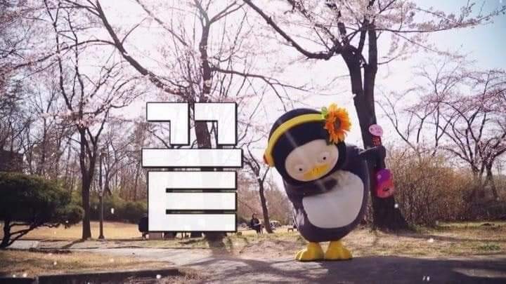  신비로운 미국주식의 세계 / SEDG / 코캄