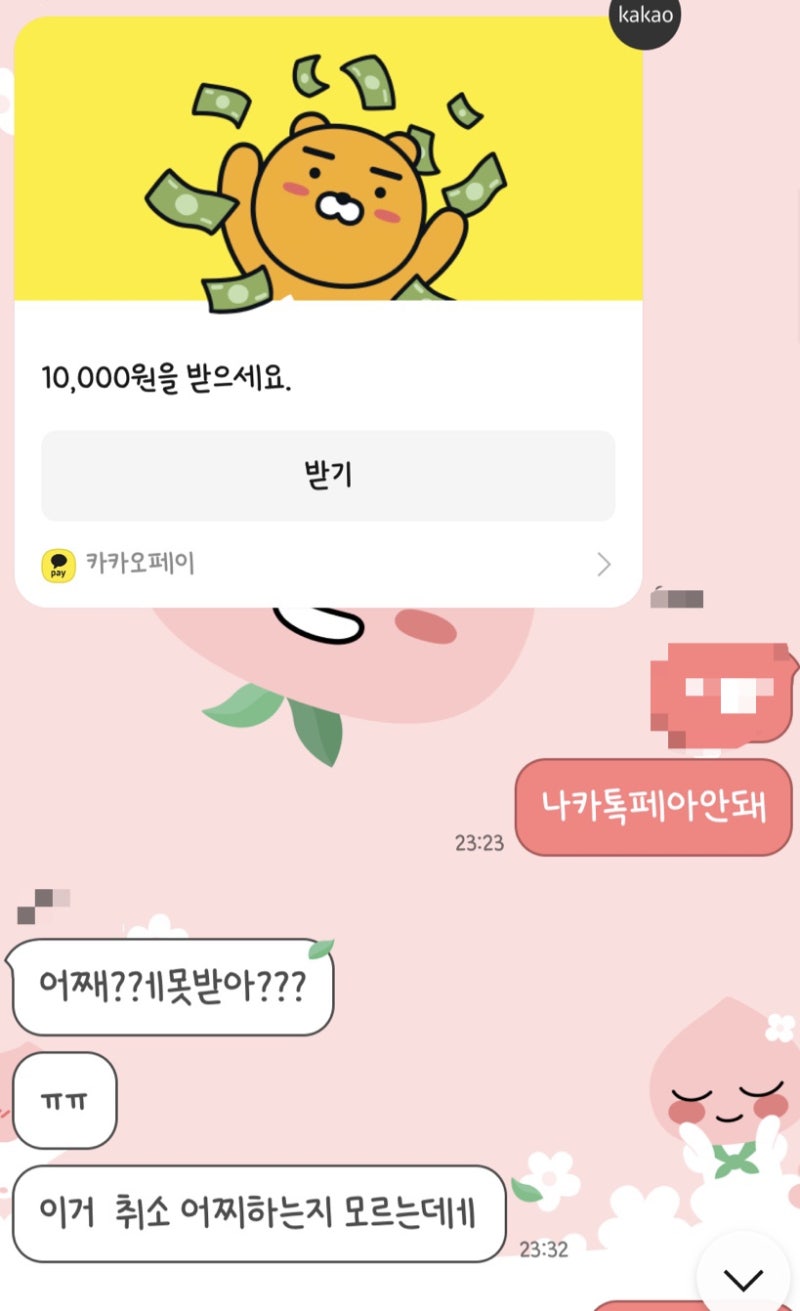 카카오톡 카카오페이 본인인증 초기화 및 계정 명의변경 하는 방법 : 네이버 블로그
