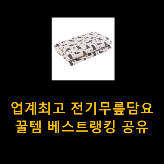 업계최고 전기무릎담요 꿀템 베스트랭킹 공유 업계최고 전기무릎담요 꿀템 베스트랭킹 공유