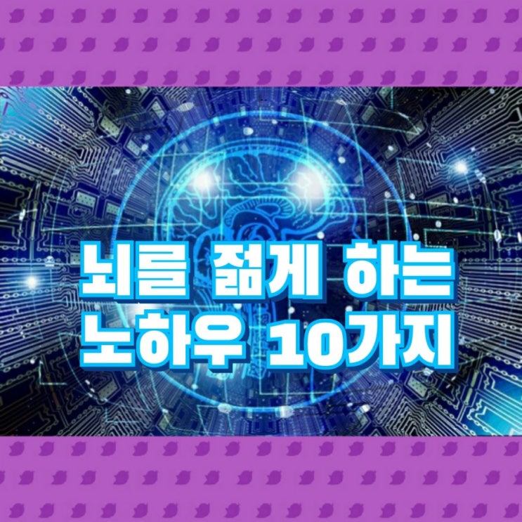  뇌를 젊게 하는 노하우 10가지