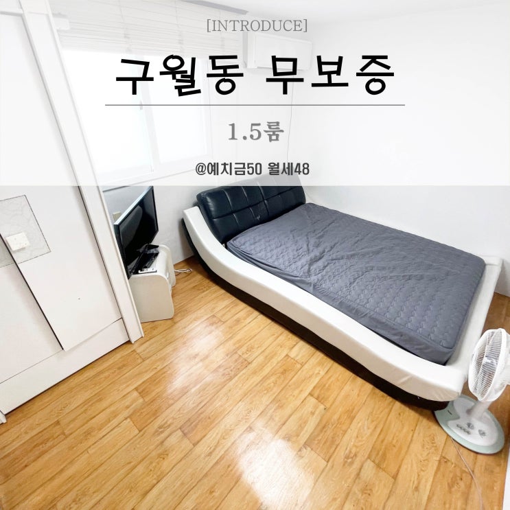  구월동1.5룸 무보증 거실/방 분리구조 월세48