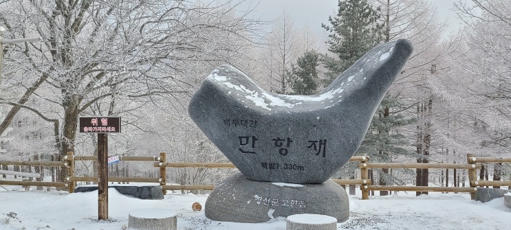 만항재 겨울 설경 속 눈꽃나무 서리꽃 피다