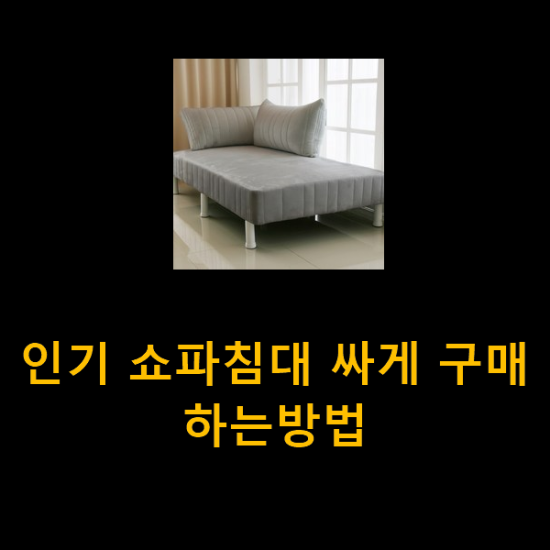 인기 쇼파침대 싸게 구매하는방법 인기 쇼파침대 싸게 구매하는방법