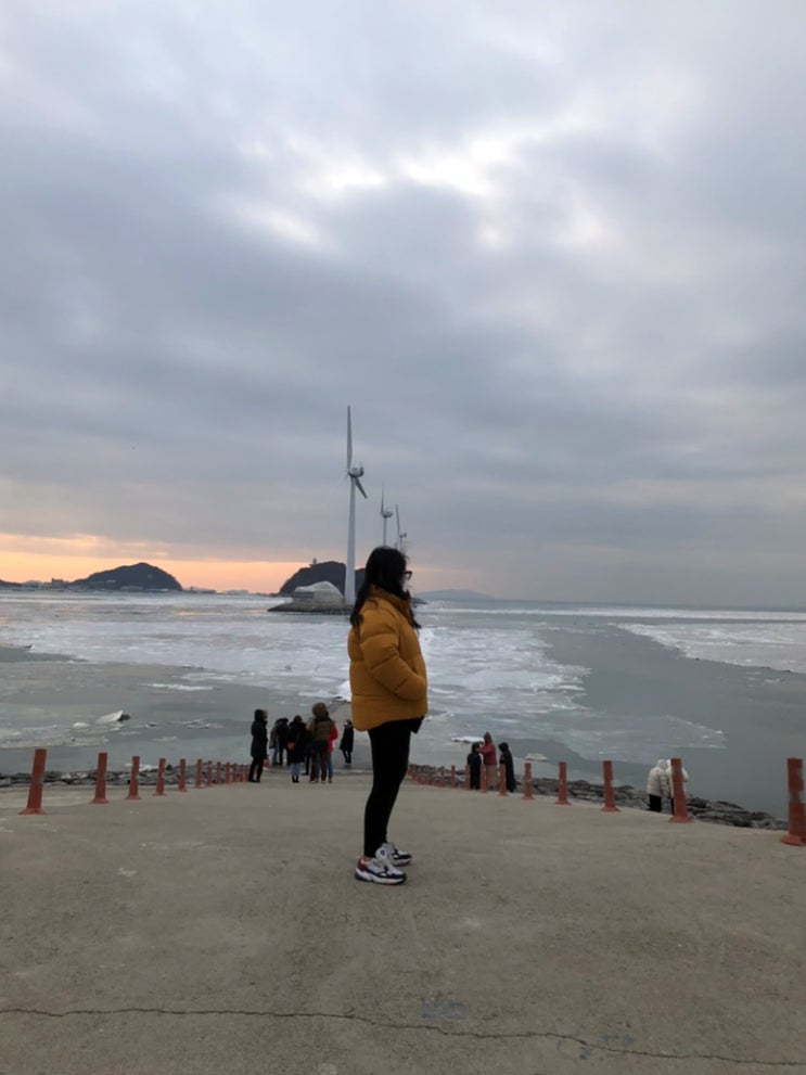  대부도 갈만한곳 탄도항 산책하기 좋아요