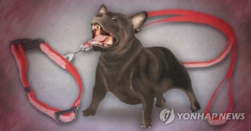 "들만한 보험이 없네"…맹견보험 의무가입 실효성 논란 / 한국경제TV "들만한 보험이 없네"…맹견보험 의무가입 실효성 논란 / 한국경제TV