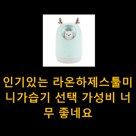 인기있는 라온하제스툴미니가습기 선택 가성비 너무 좋네요 인기있는 라온하제스툴미니가습기 선택 가성비 너무 좋네요