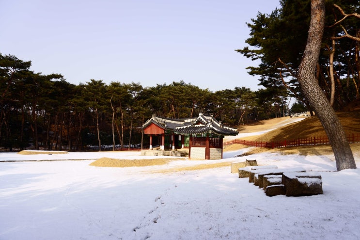 눈온날 만나는 조선 왕릉 사릉 정순왕후릉