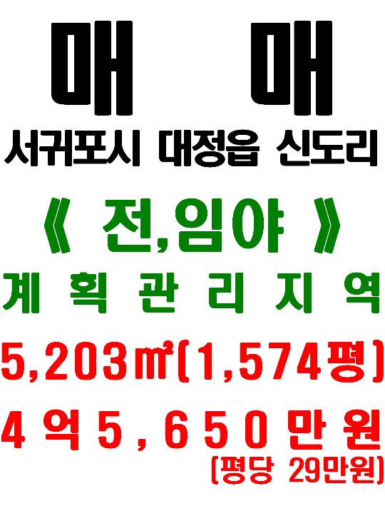  서귀포시 대정읍 신도리 건축 가능, 해안경관 보여지는 토지 매매(매물번호 522)