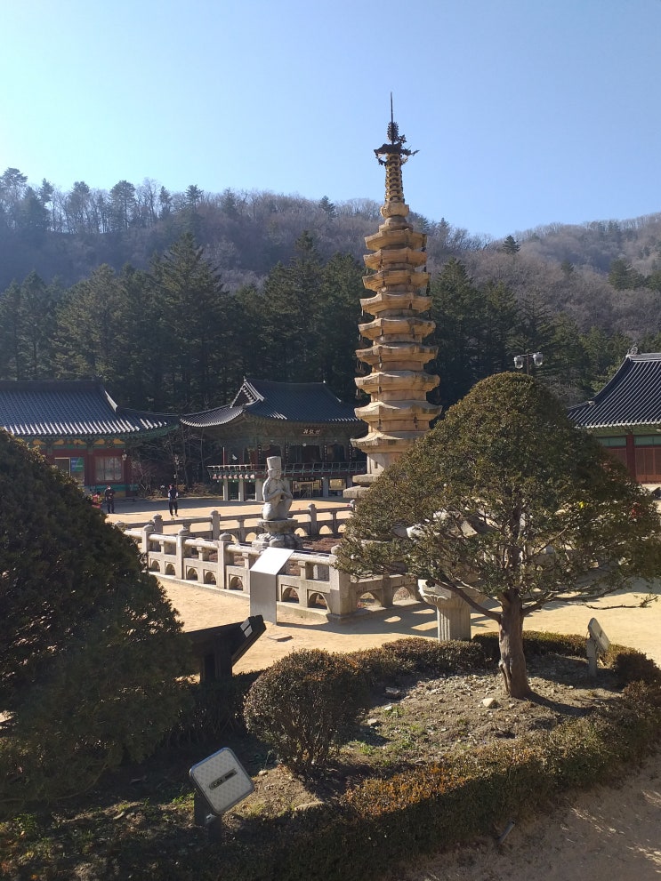  문수보살과 진신사리의 성지.   오대산 월정사(月精寺)