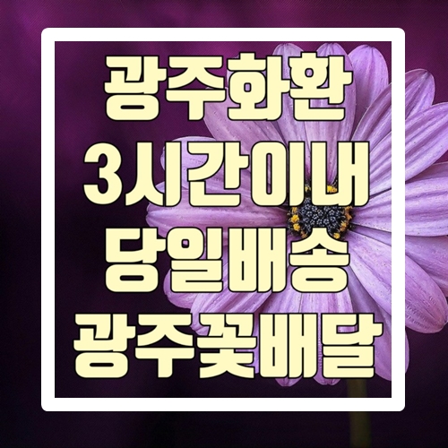 광주화환 3시간 이내 당일배송 광주꽃배달