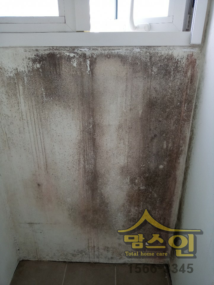  맘스인 전주 청소 전문 업체 이사청소 익산, 군산, 광주 1566-3345