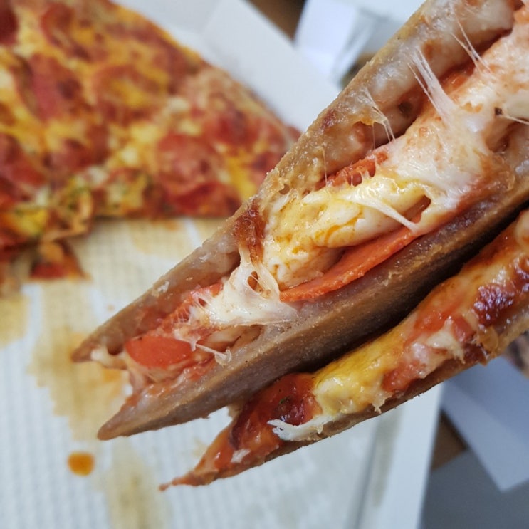  공부하다 열받아서 시킨 피자에땅 후기