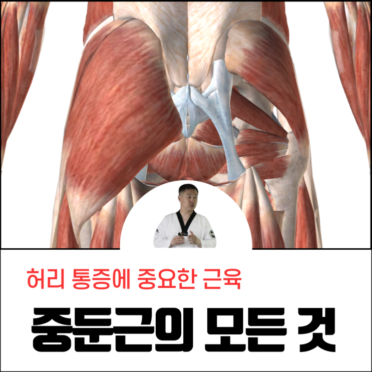  중둔근 운동 통증 스트레칭 한 번에 알려드립니다