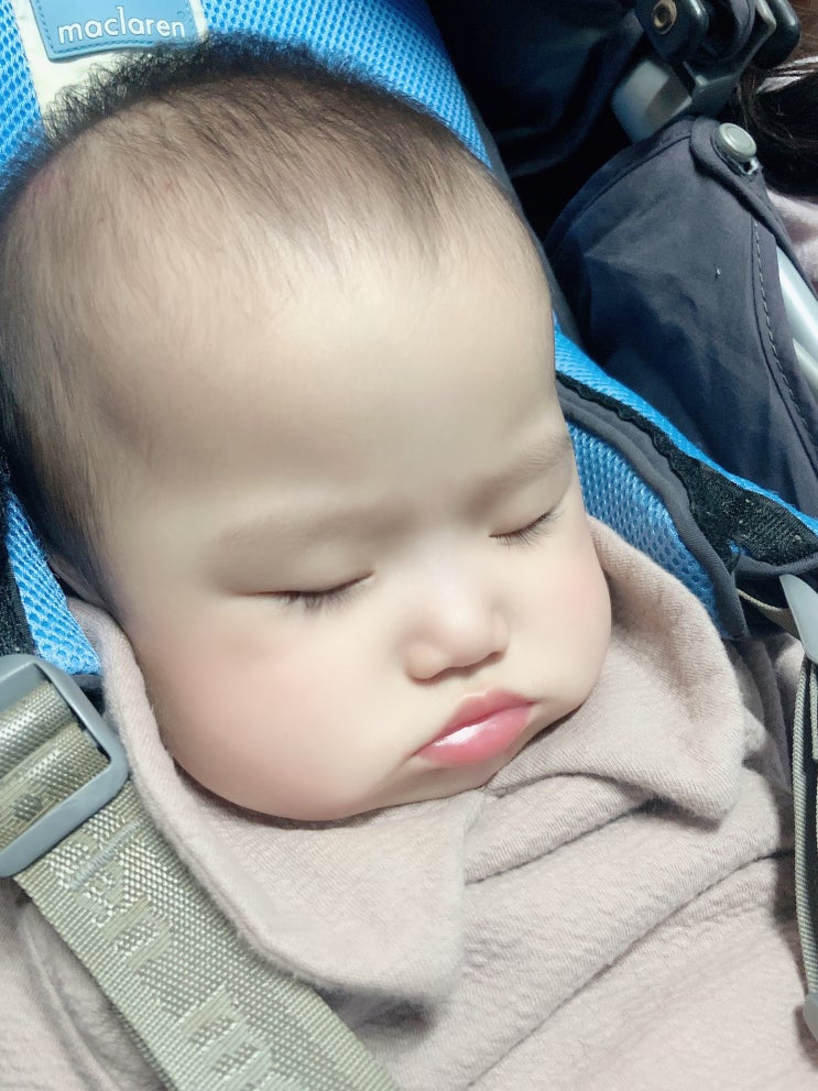  [워니이야기] 헤어스토리/ 머리가 잘 안 자라는 아이