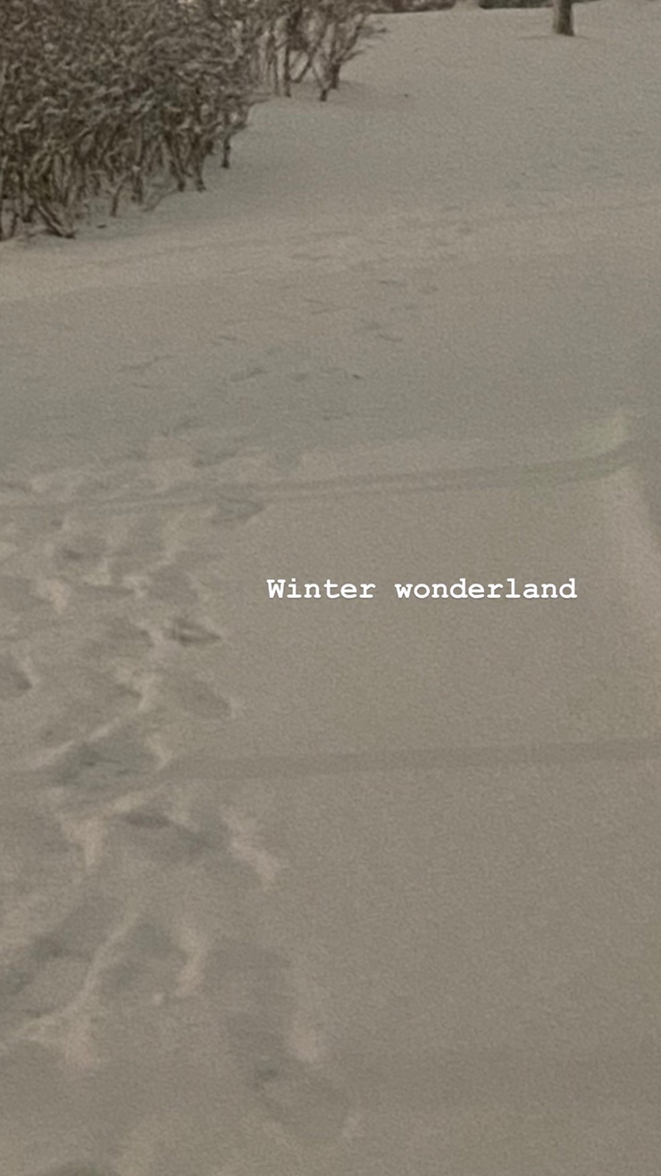  눈내린 서울풍경! Winter wonderland ️c