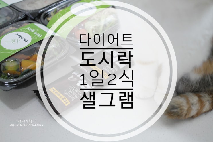  샐그램 다이어트도시락  전자레인지도시락 1일2식 간편하게