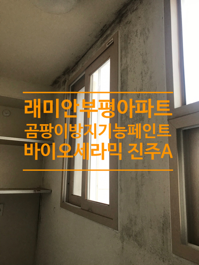 인천 부평동 래미안부평아파트 탄성코트 곰팡이베란다 기능페인트