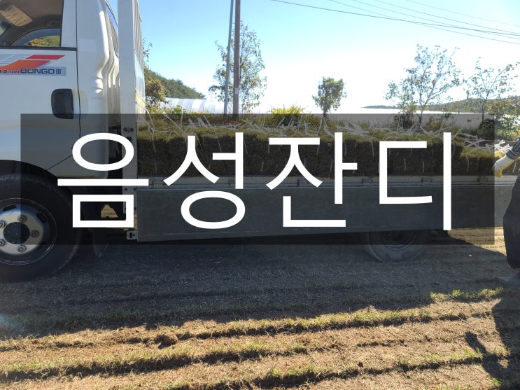  농업과 공업의 조화 음성 잔디 배송