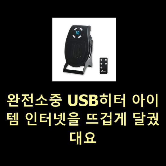 완전소중 USB히터 아이템 인터넷을 뜨겁게 달궜대요