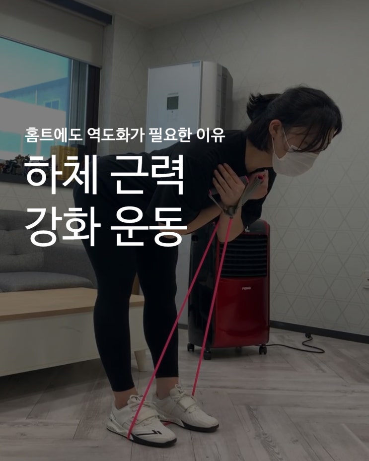  [홈트에도 역도화가 필요한 이유] 홈트의 전성시대_콜카 역도화와 함께 하체 근력 키우기 :: 런지ㅣ굿모닝 익스텐션