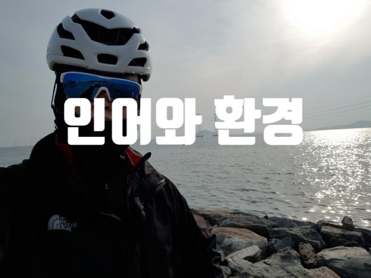  언어와 환경 (최창섭) 대량으로 밀려들어오는 정보에 대해  어떻게 대처해야 하는가