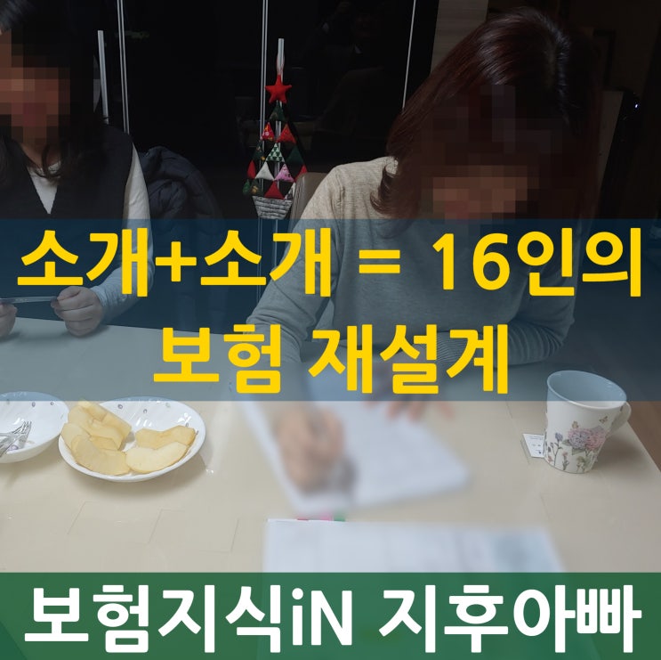  보험재설계 15인의 소개까지 이어진 이유