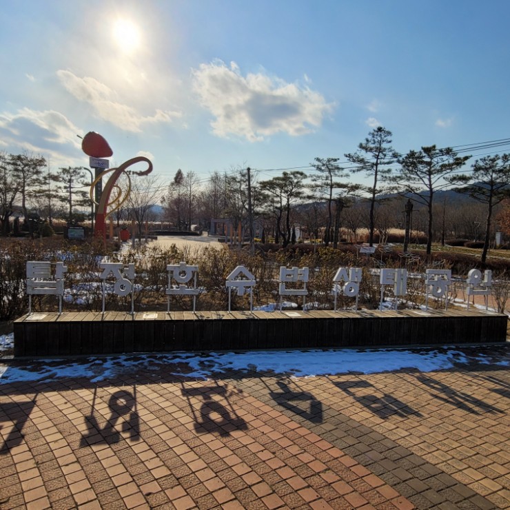  [논산] 탑정호 수변생태공원 대전근교 갈만한 곳