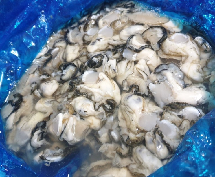  깐굴 통영굴택배 싱싱한 통영굴가격+굴보관법