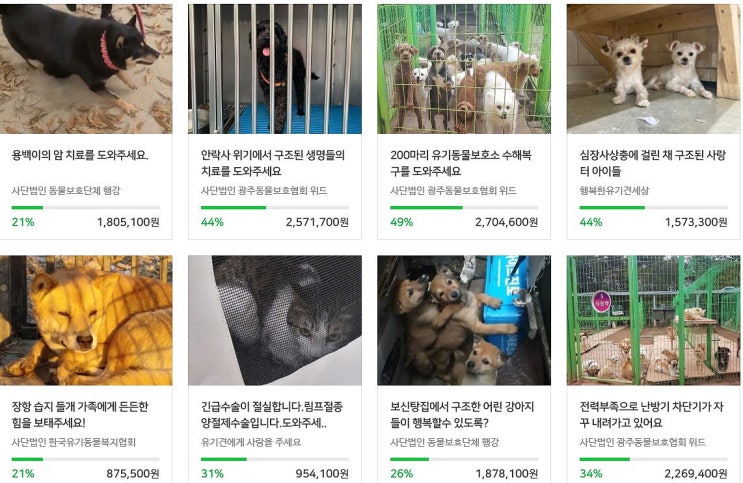  2021년 새해맞이는 " 해피빈 콩기부"로 시작했어요