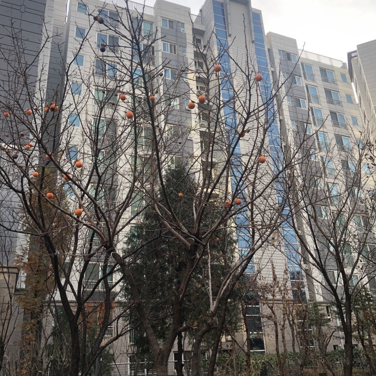  밀린 일상 일기