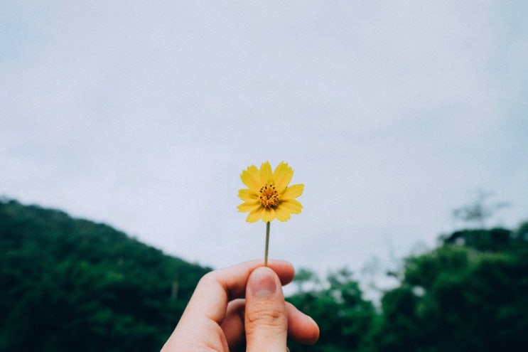 행복의 조건 행복의 조건