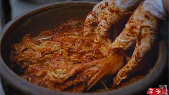  "김치가 ‘파오차이’? 독도도 다케시마냐” 정부 번역에 쏟아진 분노