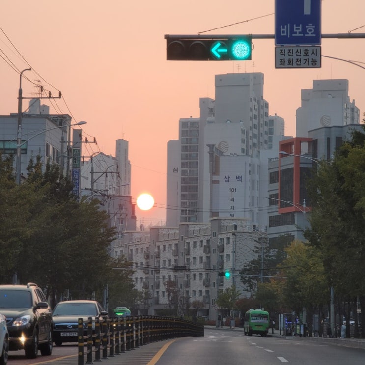  21년 부동산 전망은? 투자자라면 꼭 집고 넘어가야 하는...