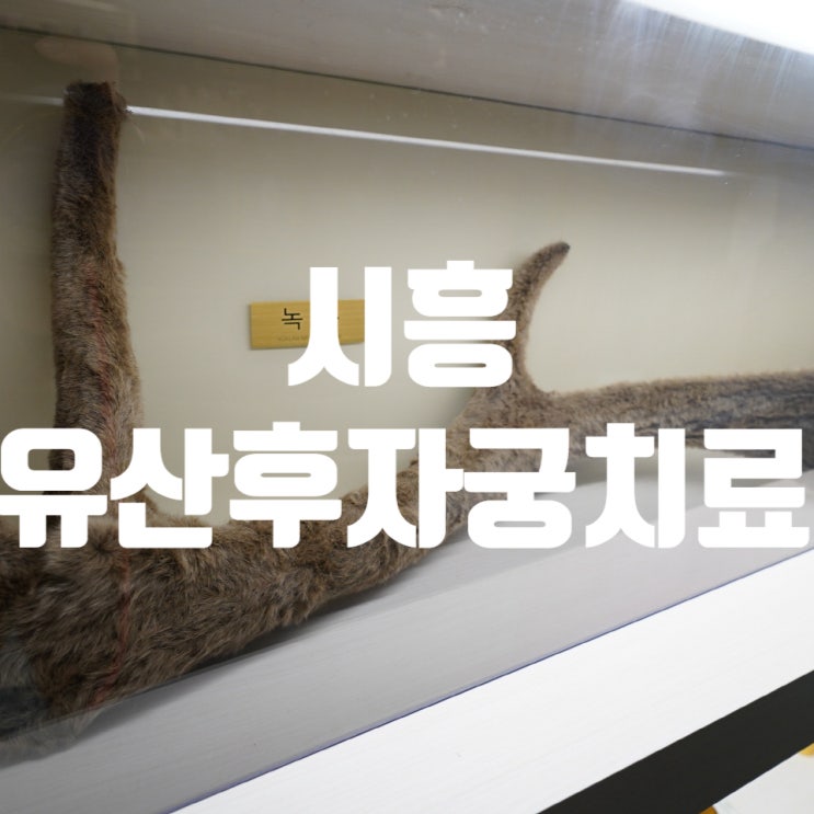  시흥유산후자궁치료 아픔을 극복하기 위해서