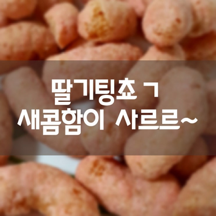  딸기팅쵸ㄱ~ 새콤함이 입안에 사르르?
